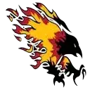chaparral-firebirds