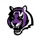 millennium-tigers-2