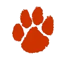 riverside-poly-bears