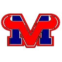 mountain-view-logo